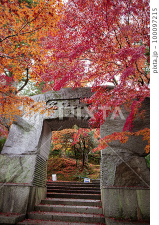 苗秀寺の紅葉 100097215