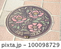 福岡県大牟田市の汚水管マンホール蓋～ヤブツバキの絵柄 100098729