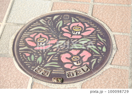 福岡県大牟田市の汚水管マンホール蓋～ヤブツバキの絵柄 100098729