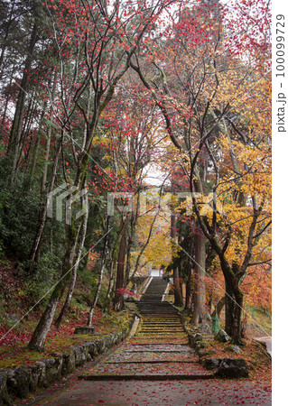 積善寺の紅葉 100099729