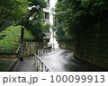 木に囲まれた道 100099913