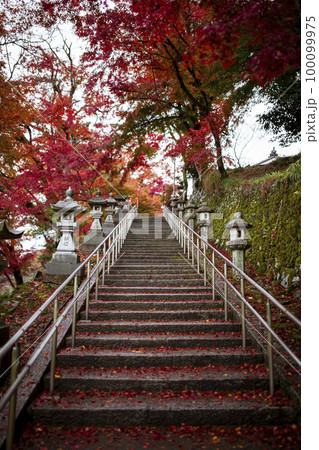桑田神社の紅葉 桑田神社の紅葉 100099975