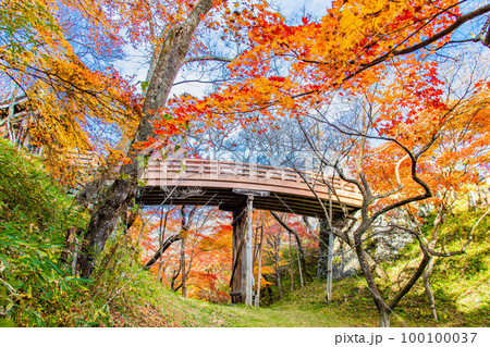 長野 高遠城址公園　～紅葉に染まる桜雲橋～ 100100037