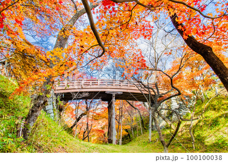 長野 高遠城址公園　～紅葉に染まる桜雲橋～ 100100038