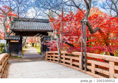 長野 高遠城址公園　～紅葉に染まる桜雲橋と問屋門～ 100100052
