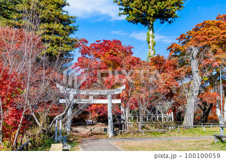長野 高遠城址公園　～紅葉に染まる本丸跡～ 100100059