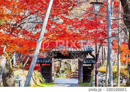 長野 高遠城址公園　～紅葉に染まる問屋門～ 100100061
