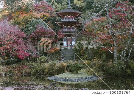 浄瑠璃寺の紅葉 浄瑠璃寺の紅葉 100101764