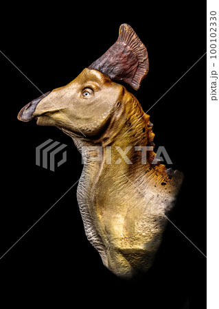 The head of Olorotitan in the dark , dinosaur on black background 100102330