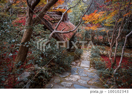 厭離庵の散り紅葉 厭離庵の散り紅葉 100102343