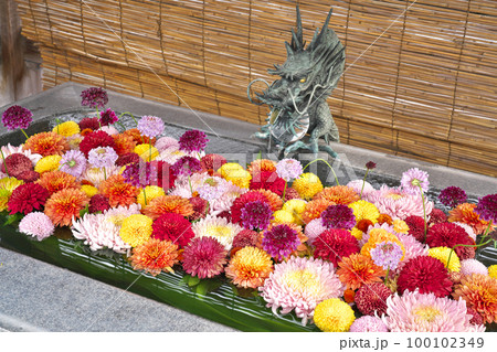 【我拝師山 求聞持院 出釈迦寺 (手水舎)】 (四国霊場第73番札所) 香川県善通寺市吉原町 100102349