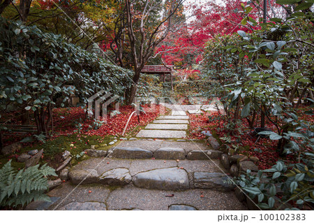 厭離庵の散り紅葉 厭離庵の散り紅葉 100102383