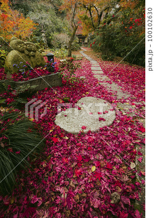 直指庵の紅葉 直指庵の紅葉 100102630