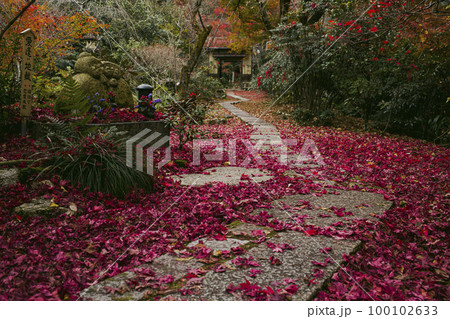 直指庵の紅葉 直指庵の紅葉 100102633