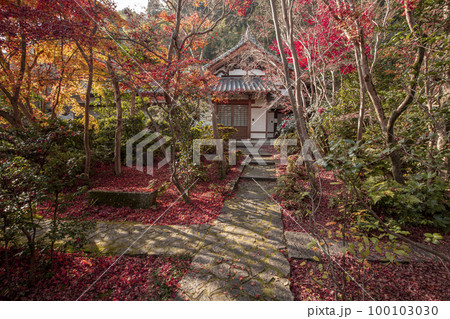 善法律寺の紅葉 100103030