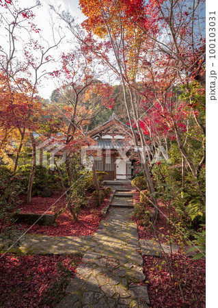 善法律寺の紅葉 100103031