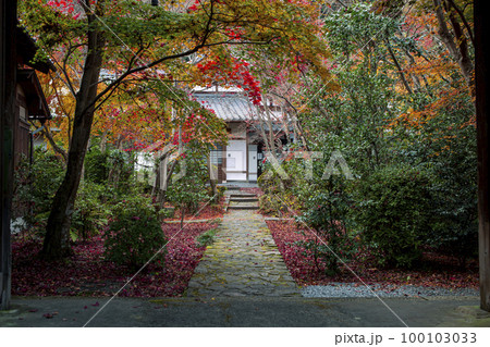 善法律寺の紅葉 100103033