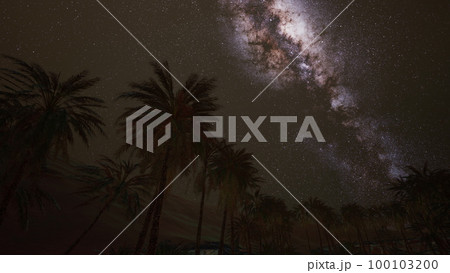 Starry night sky against with coconut palm trees 100103200