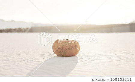 Halloween Pumpkin on the beach dunes 100103211