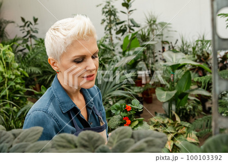 Woman florist taking care about plant. Woman holding succulent plant. 100103392