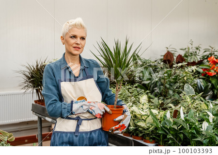 Woman in a greenhouse holds a pot. Preparing my garden for spring time 100103393