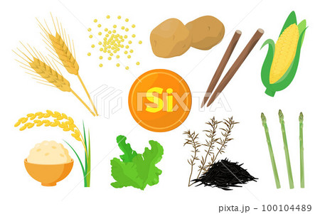 ケイ素を含む食品のベクターイラスト。 100104489