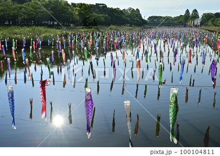 館林市鶴生田川に架かる鯉のぼり 100104811