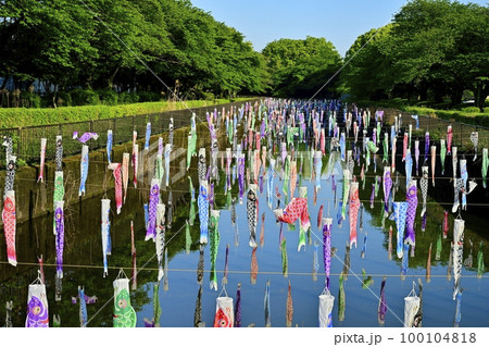 館林市鶴生田川に架かる鯉のぼり 100104818