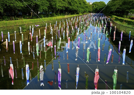 館林市鶴生田川に架かる鯉のぼり 館林市鶴生田川に架かる鯉のぼり 100104820