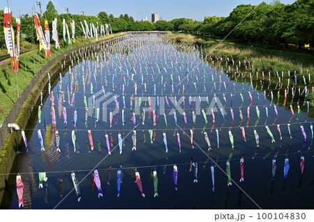館林市鶴生田川に架かる鯉のぼり 館林市鶴生田川に架かる鯉のぼり 100104830