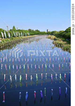 館林市鶴生田川に架かる鯉のぼり 100104834