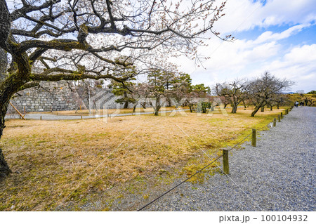 二条城 梅林 二条城 梅林 100104932