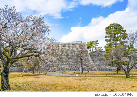 二条城　梅林 100104940