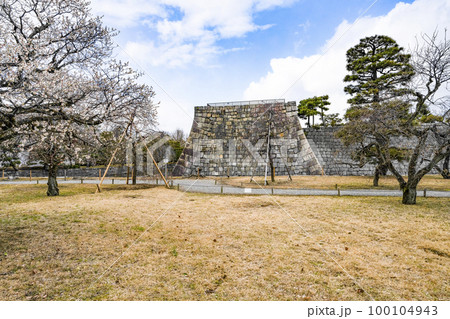 二条城　梅林 100104943