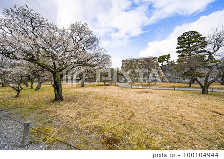 二条城　梅林 100104944