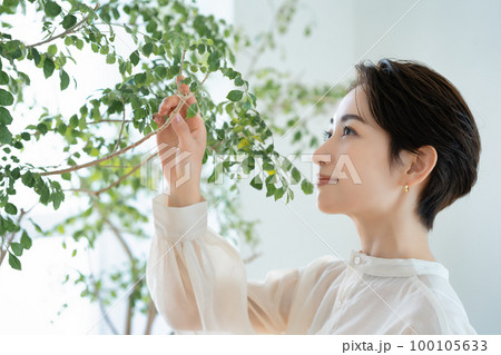 観葉植物を愛でるミドルの女性 観葉植物を愛でるミドルの女性 100105633