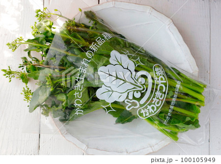 皿の上の川崎市の新品種の野菜「つや菜」 皿の上の川崎市の新品種の野菜「つや菜」 100105949