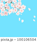 桜の花びらが春の晴れた空に舞う様子 100106504