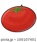 Tomato icon drawing 100107401