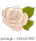White rose icon drawing 100107407