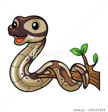 Cute black head butter ball python cartoon on tree branch Cute black head butter ball python cartoon on tree branch 100107839