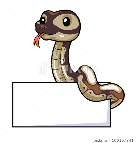 Cute black head butter ball python cartoon with blank sign 100107841