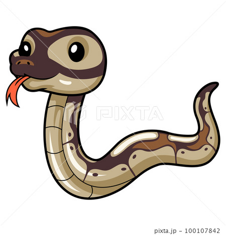 Cute black head butter ball python cartoon 100107842