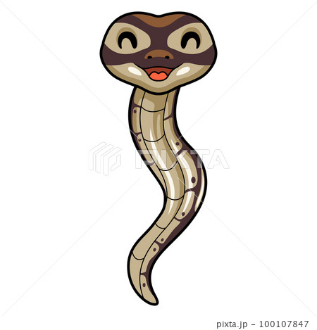 Cute black head butter ball python cartoon 100107847