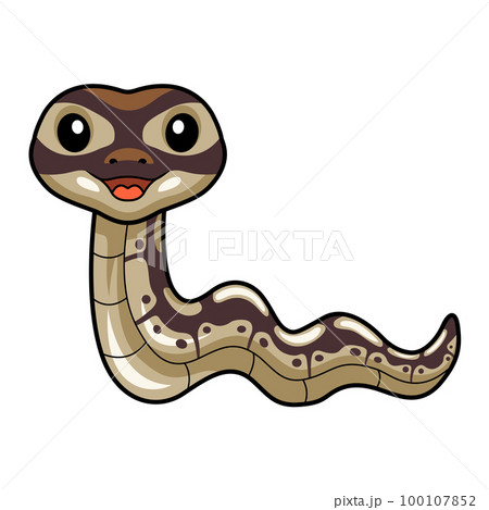Cute black head butter ball python cartoon Cute black head butter ball python cartoon 100107852