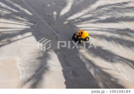 Forgotten toy in a shadow of a palm tree 100108184