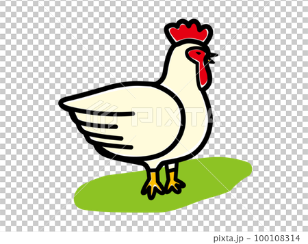 にわとり 100108314