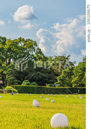 岡山後楽園の夏の風景 岡山後楽園の夏の風景 100109075