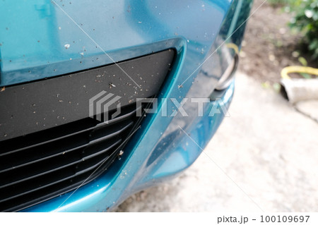 Insect midges on a car close-up. Insect midges on a car close-up. 100109697
