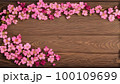 桜の背景素材 100109699